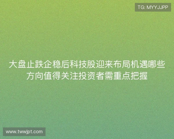 大盘止跌企稳后科技股迎来布局机遇哪些方向值得关注投资者需重点把握